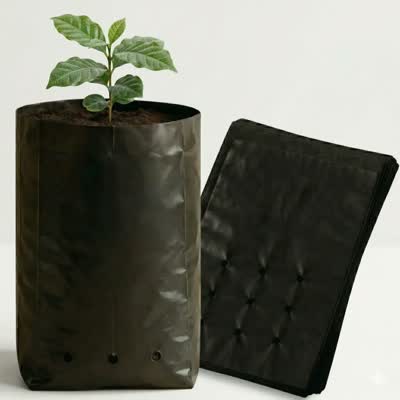 Saco Para Mudas Eucalipto 18x30 60 Micras 500un Nuplast